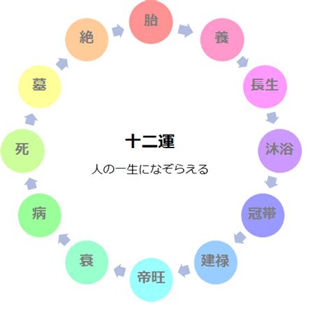 大運 胎|四柱推命｜十二運の「胎(たい)」とは？性格・適職・ 